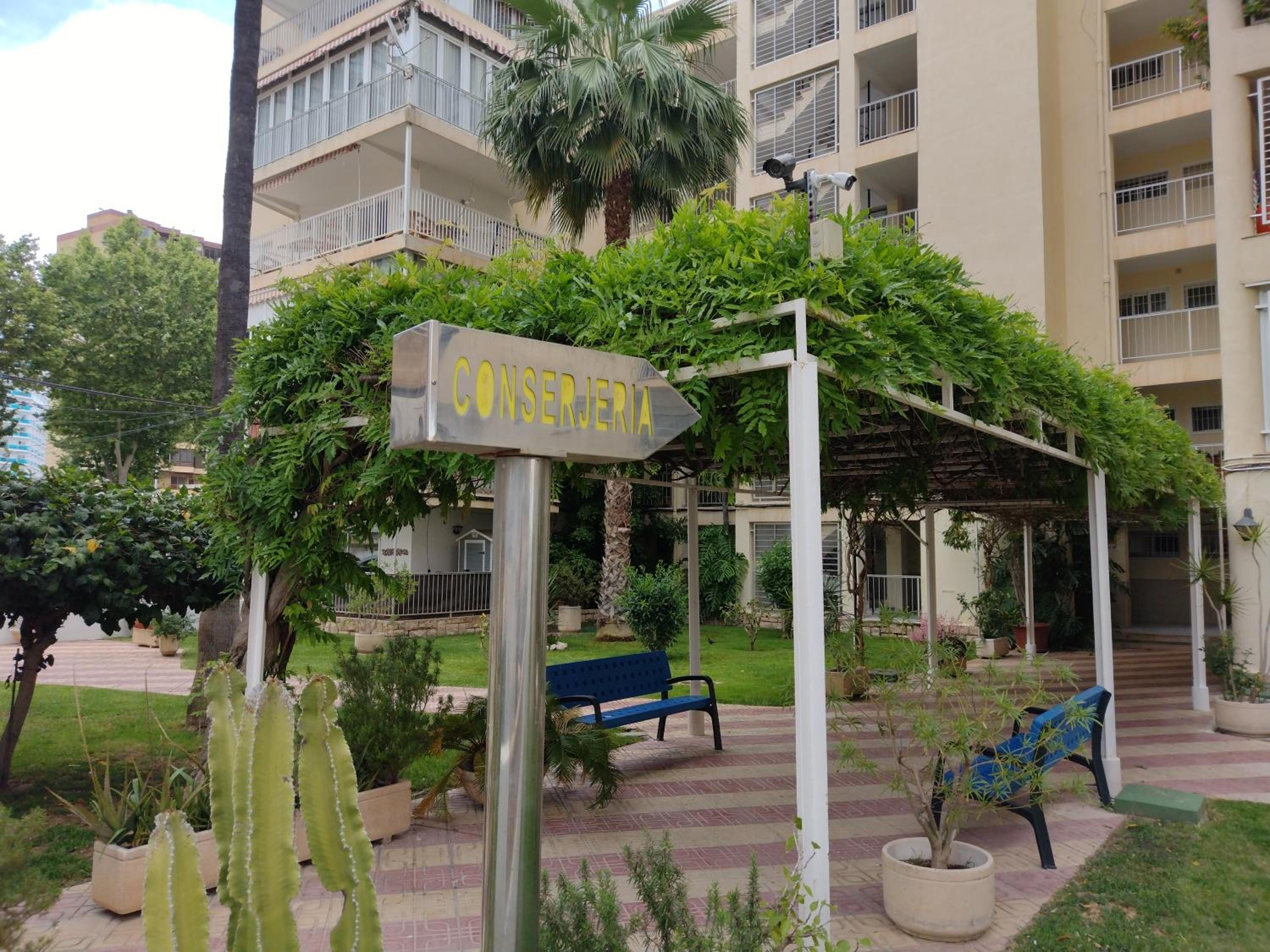 Living Benidorm. Playa Levante