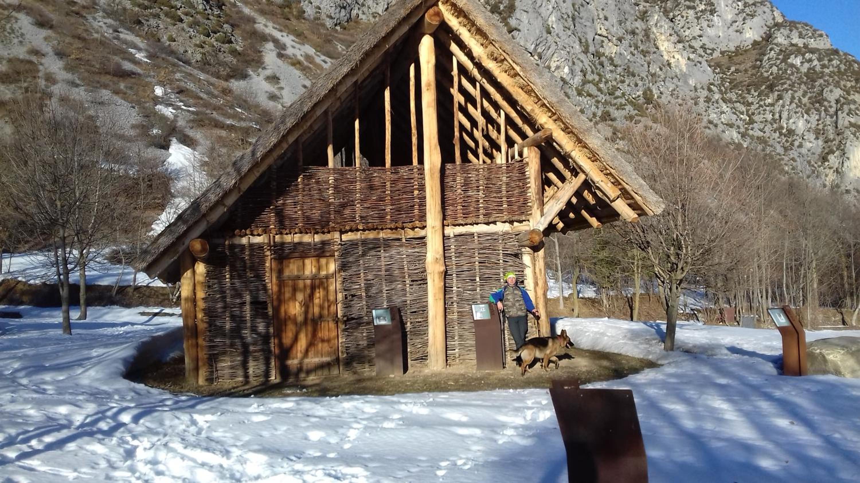 Photo 6