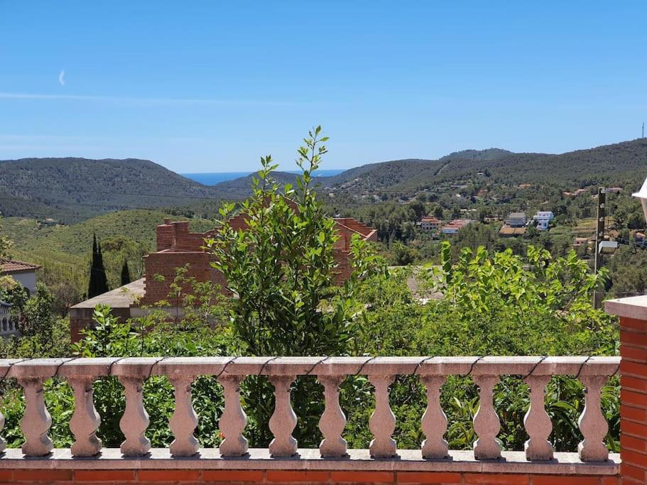 Le Petit Paradis Olivella