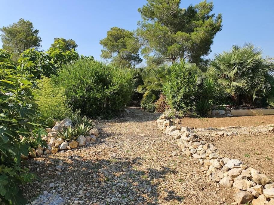 Le Petit Paradis Olivella