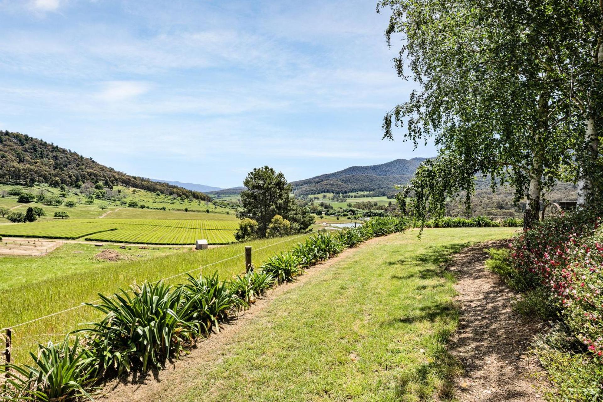 Quins Gap Escapes