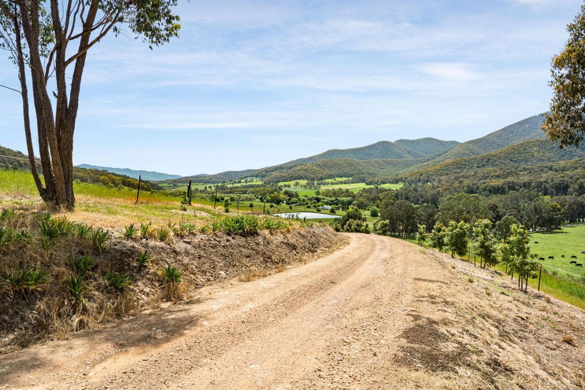 Quins Gap Escapes