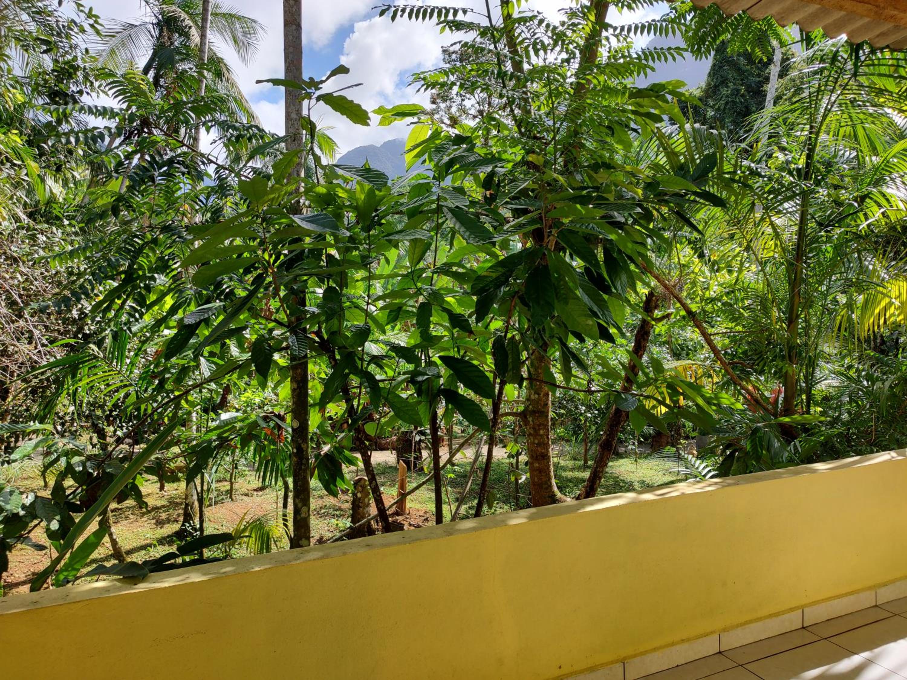 Chalés Bela Vista