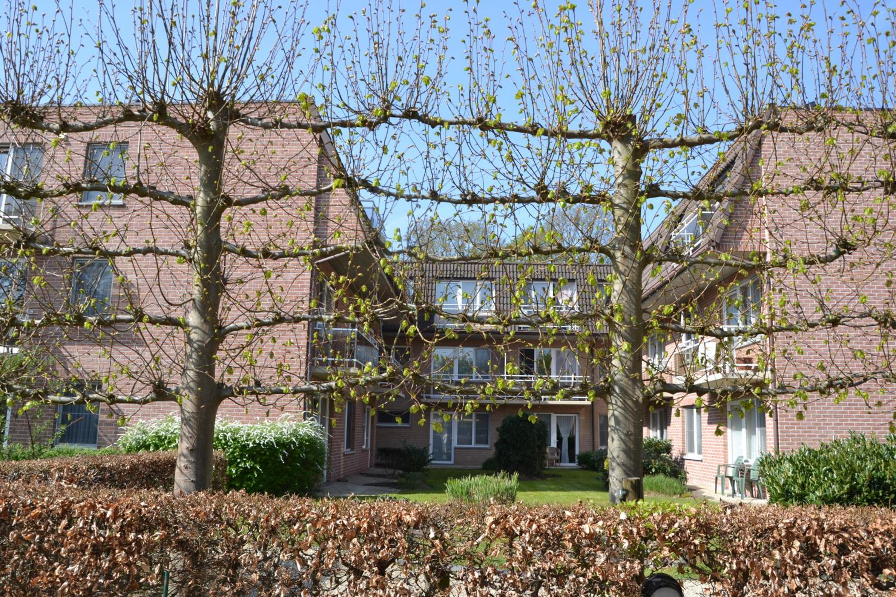 Lindehof Serviced Flats