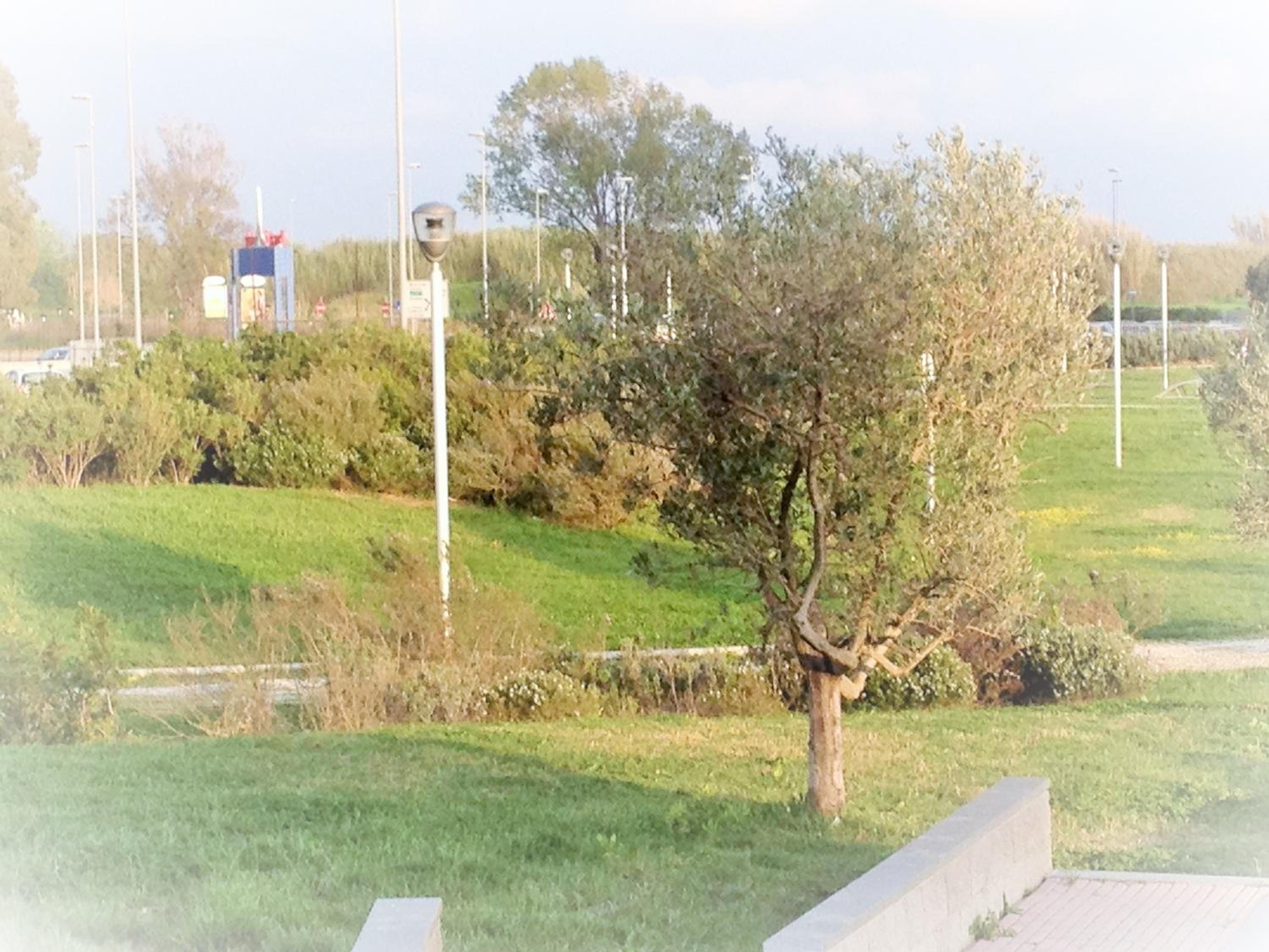 Domus al Parco Guest House