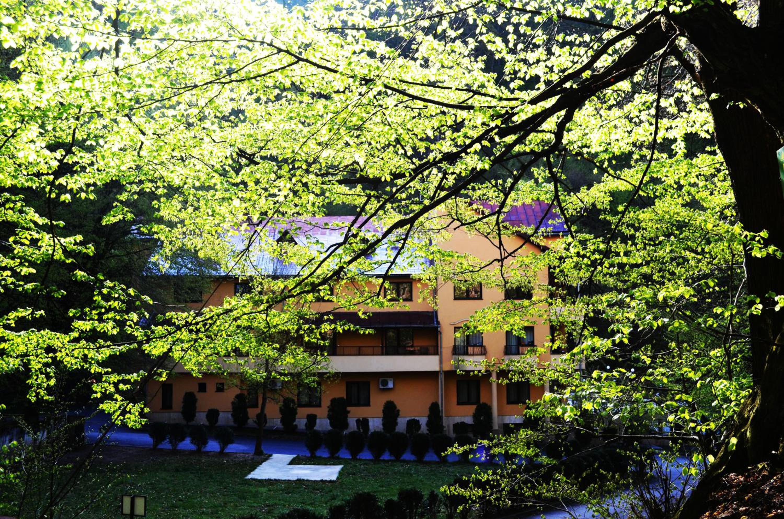 Pensiunea Magura view 3