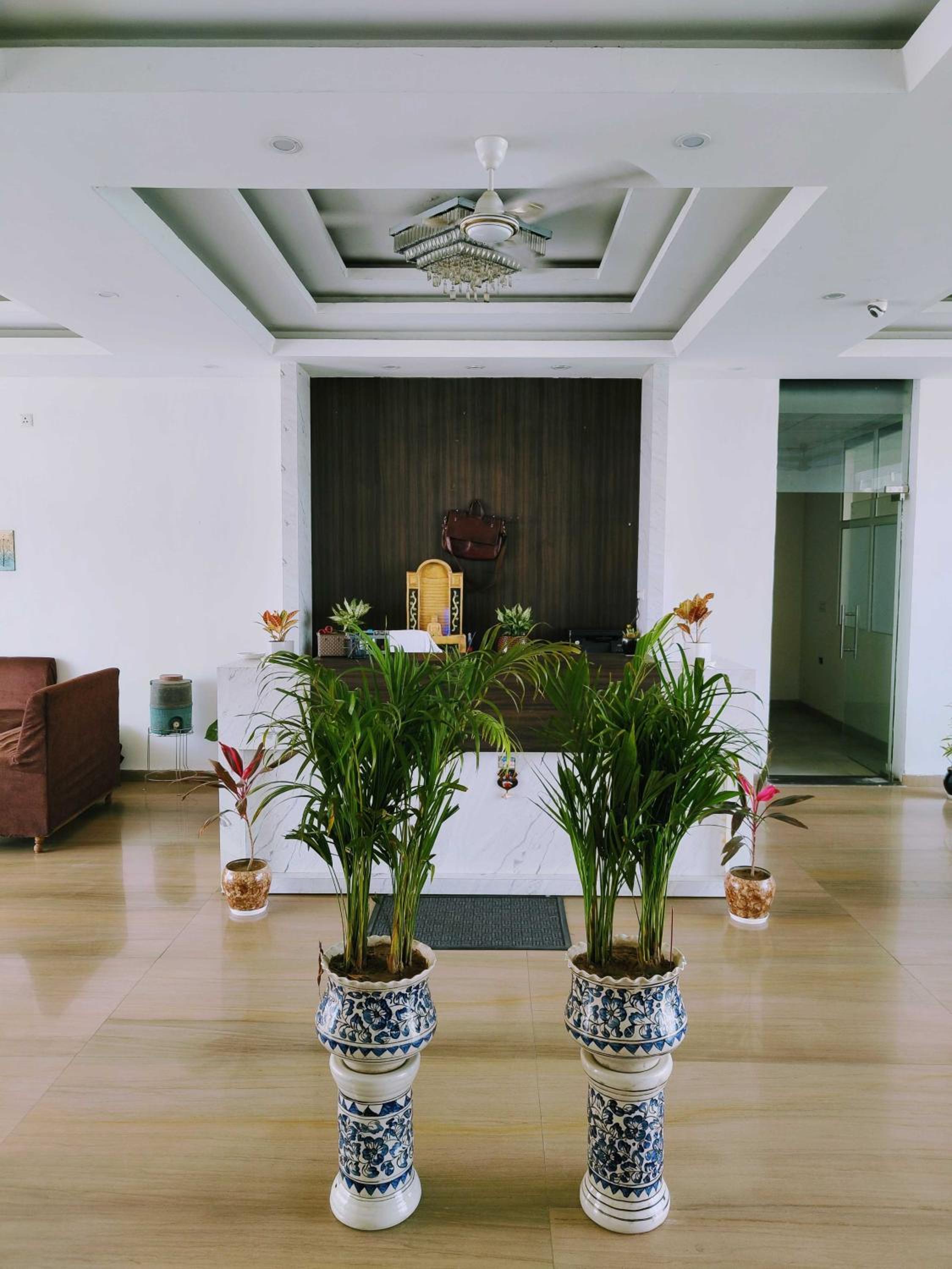 recepcion & lobby