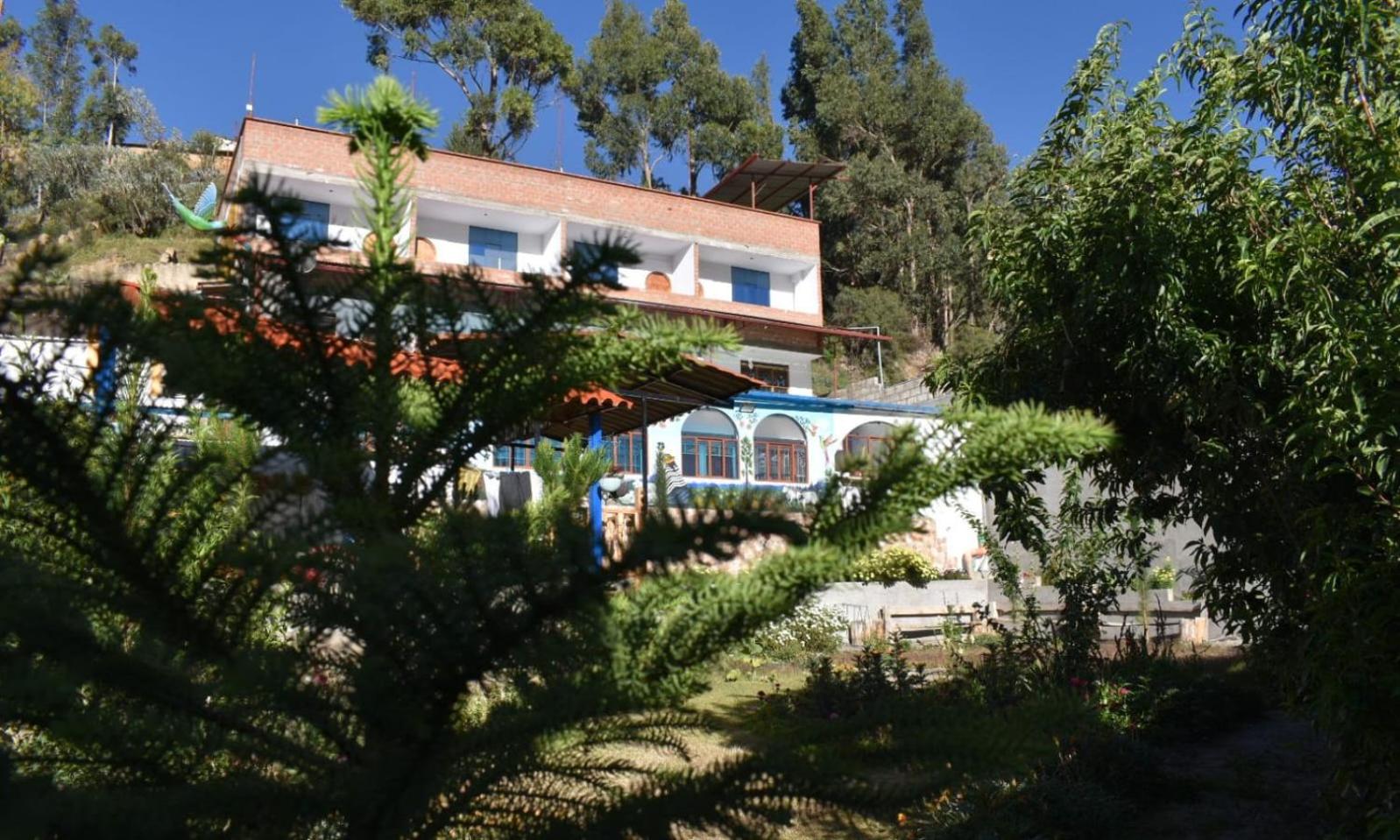 Photo 13