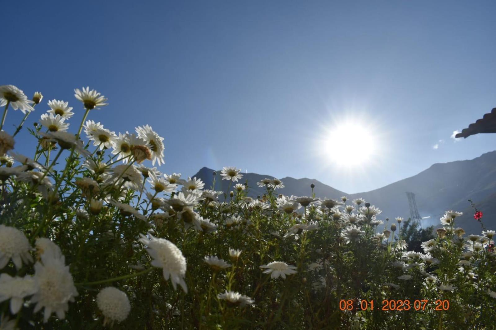 Photo 41