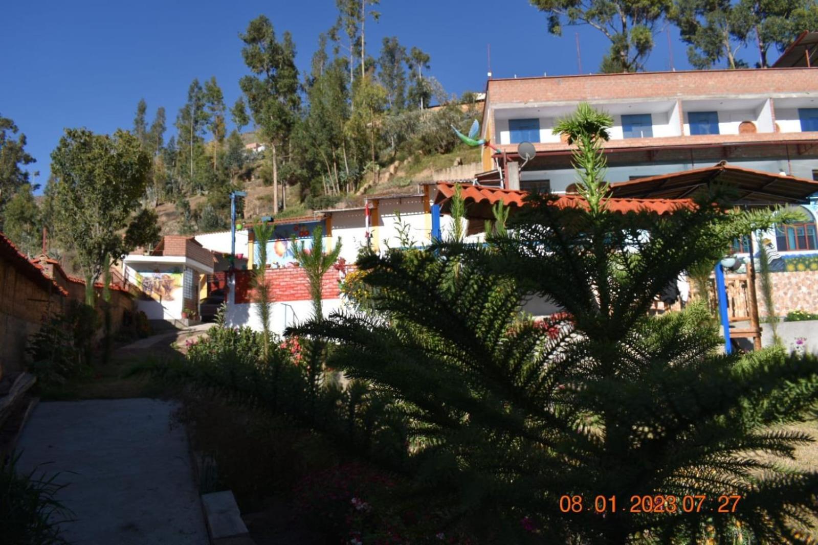 Photo 42