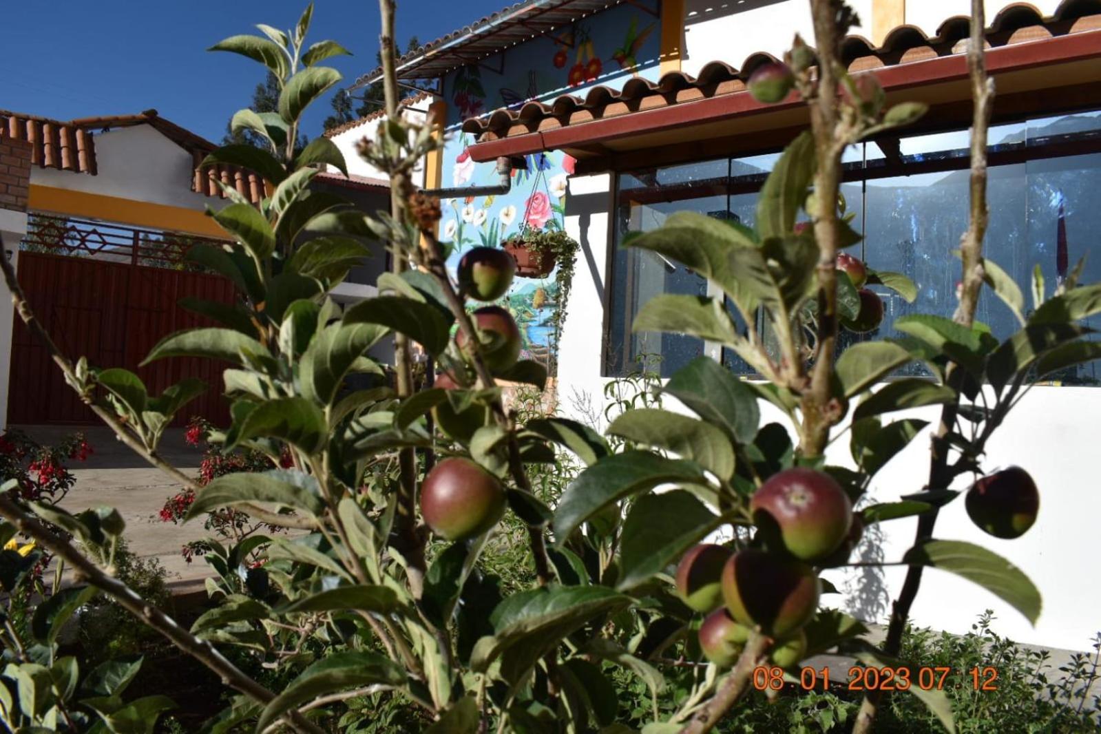 Photo 38