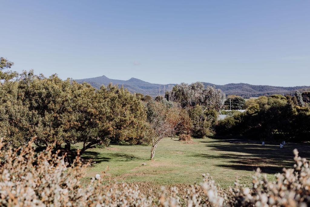Boutara Holiday House