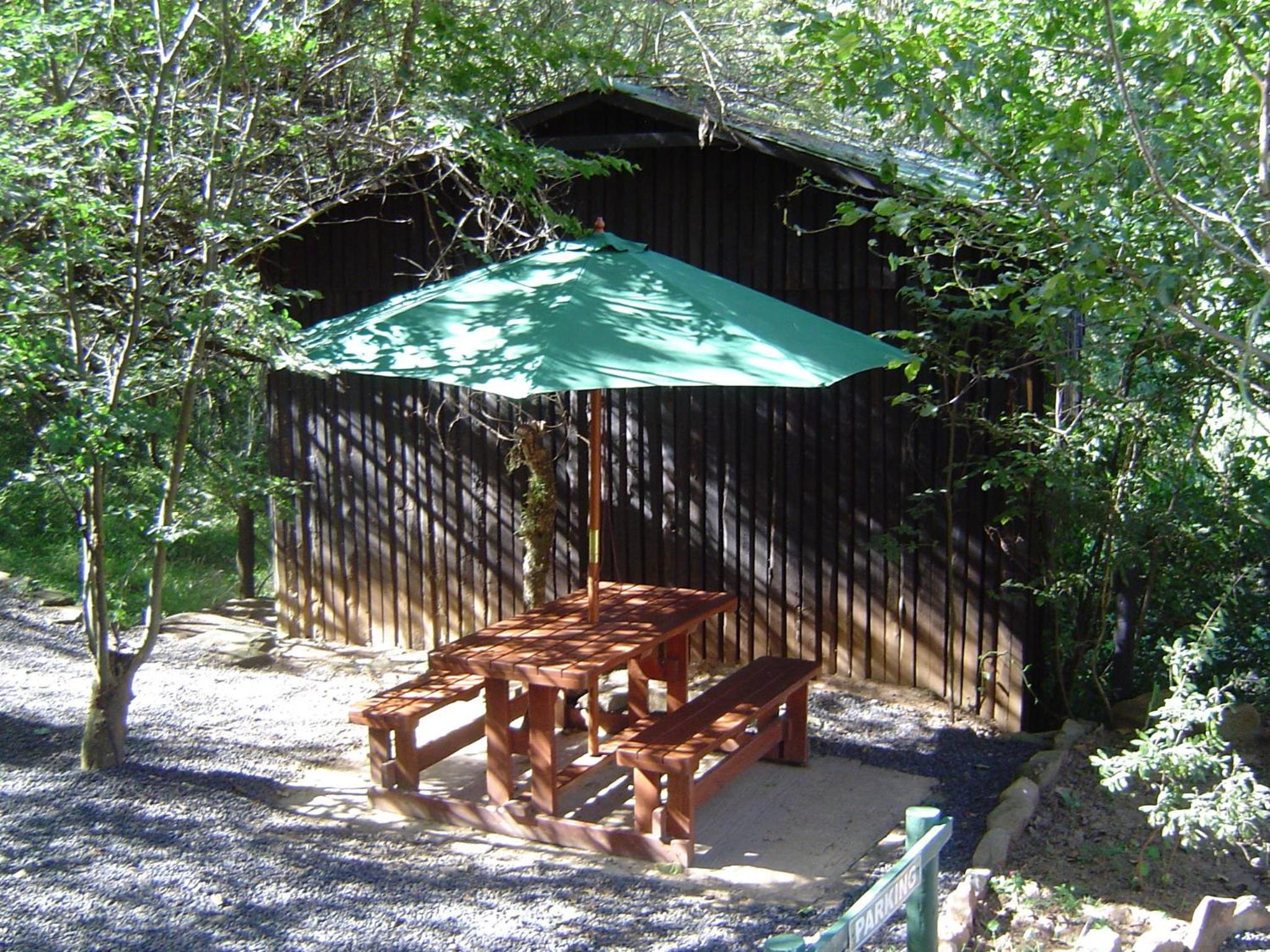 Photo 42