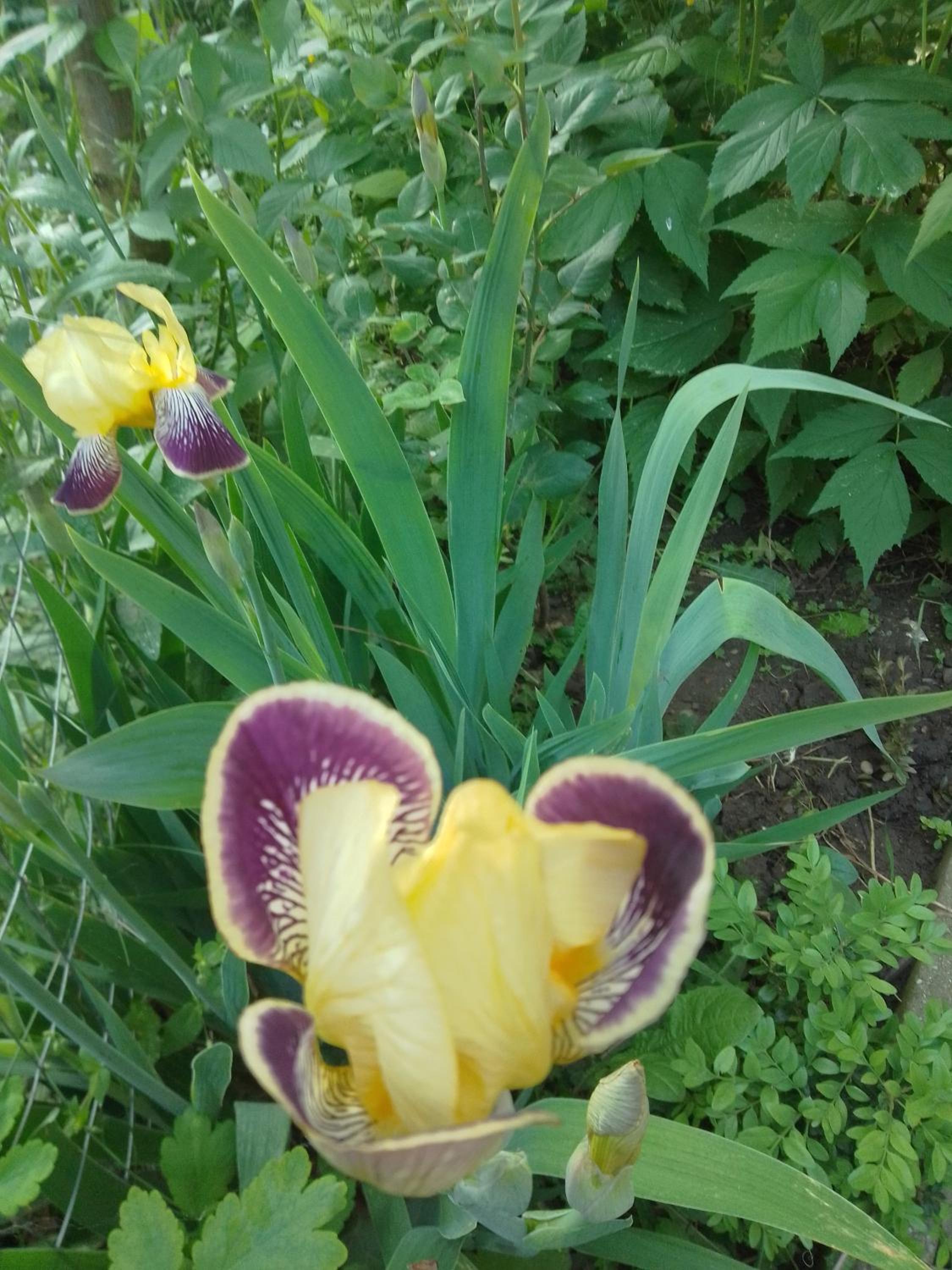 Photo 22