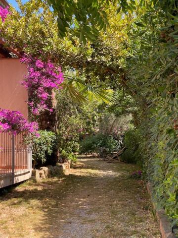 Maggiolino al mare view 3
