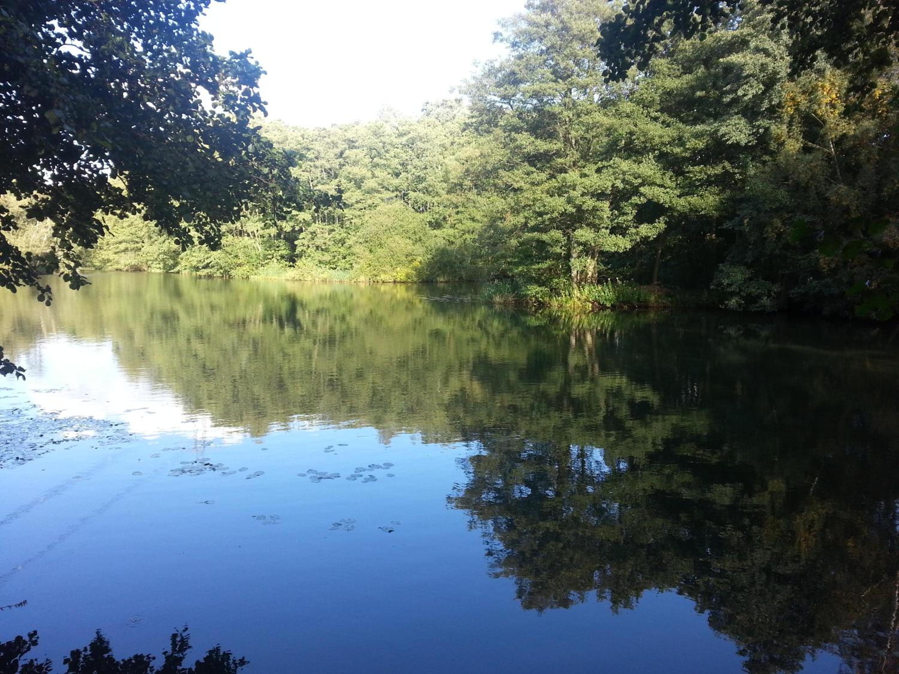 Kings Lynn Vacations - Stunning Log Cabin With A Pool Table For Hire In Norfolk, Sleeps 8 Ref 34045Al - Property Image 33