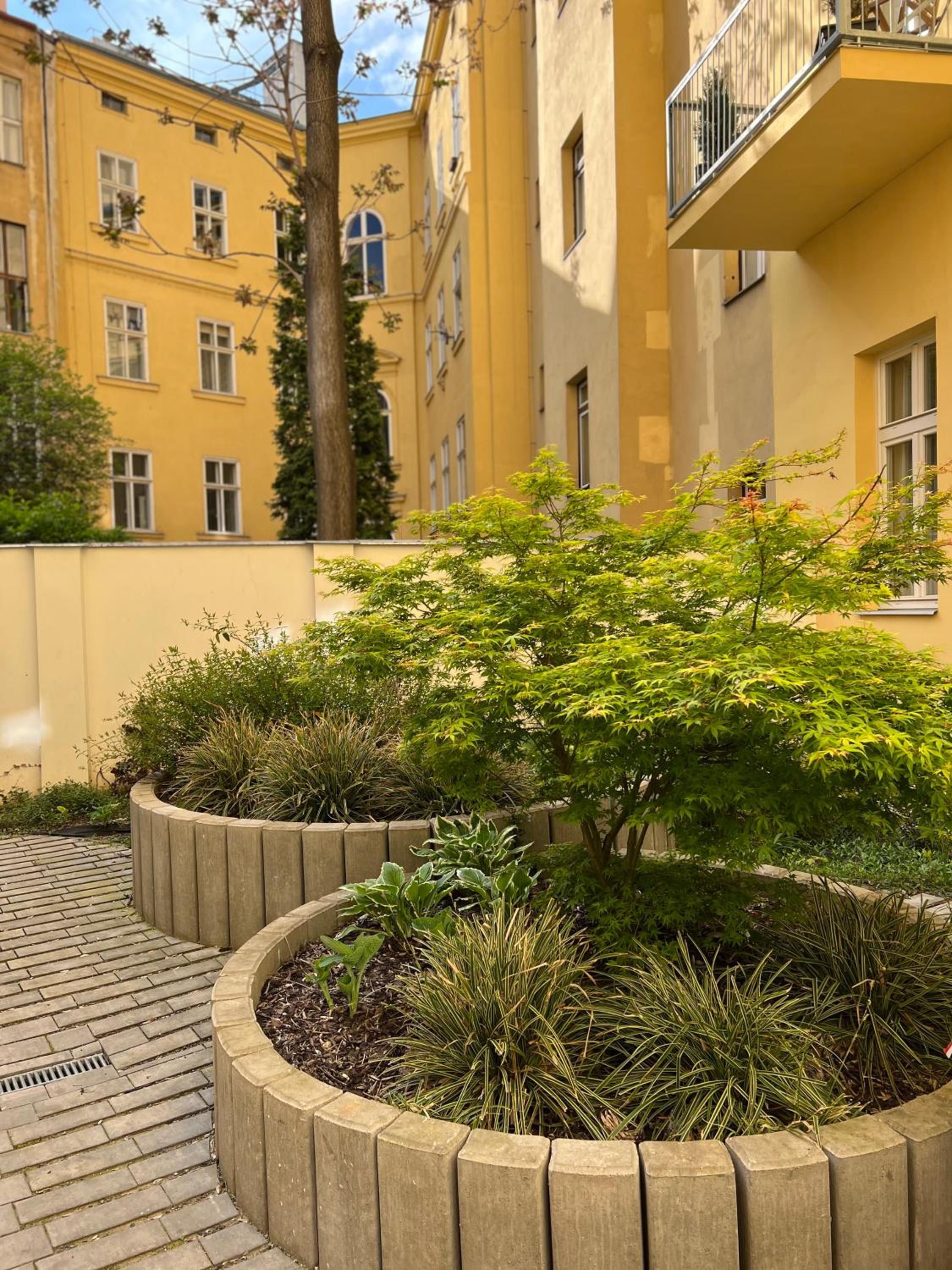 AngeloRoma Apartment in the center