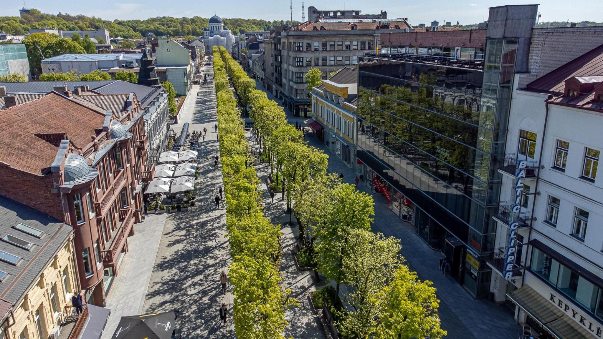 LAISVĖ BOUTIQUE APARTMENTS view 3