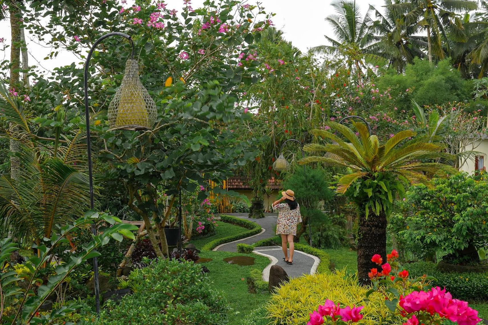 Villa Capung Mas Ubud
