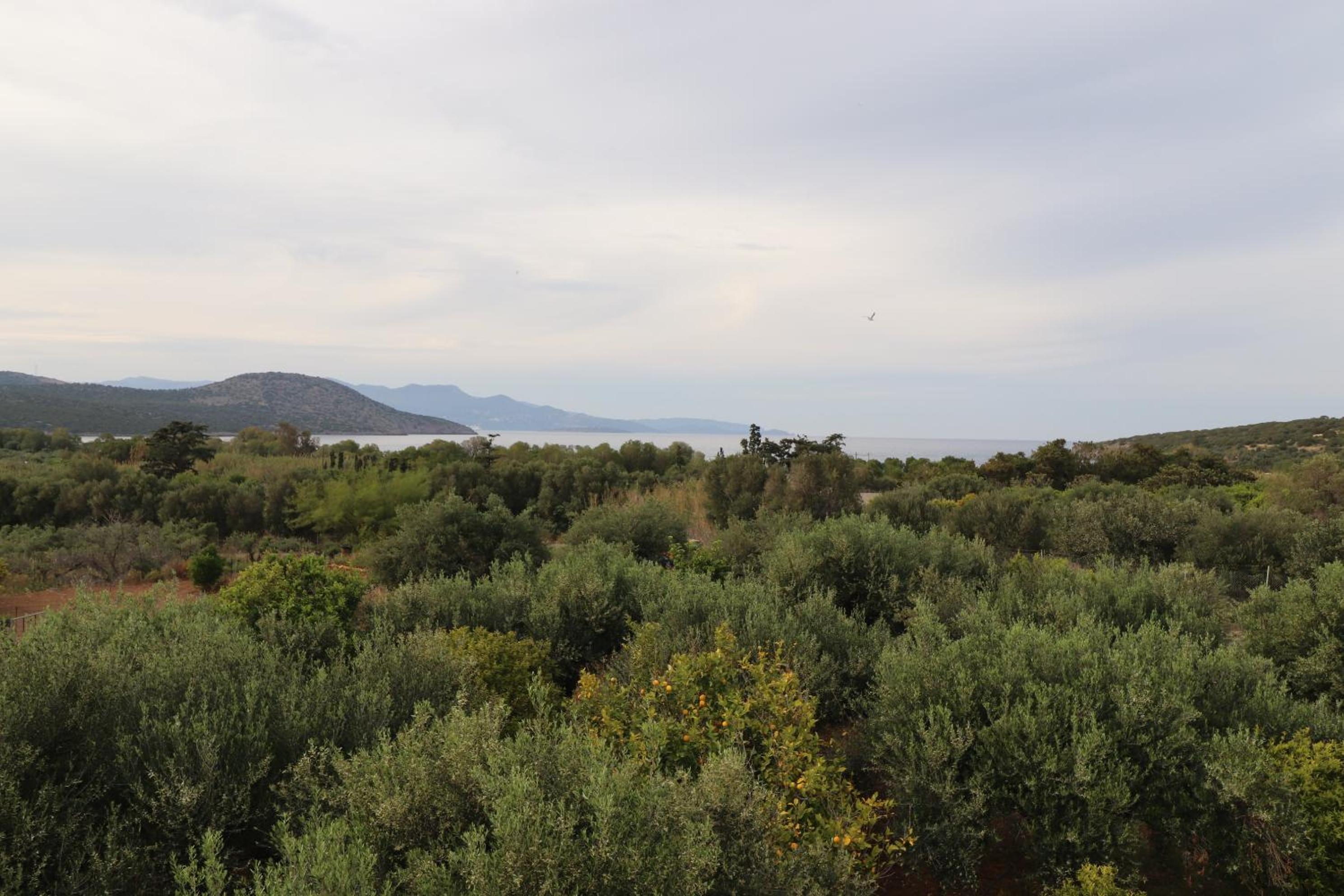 Villa Aristea