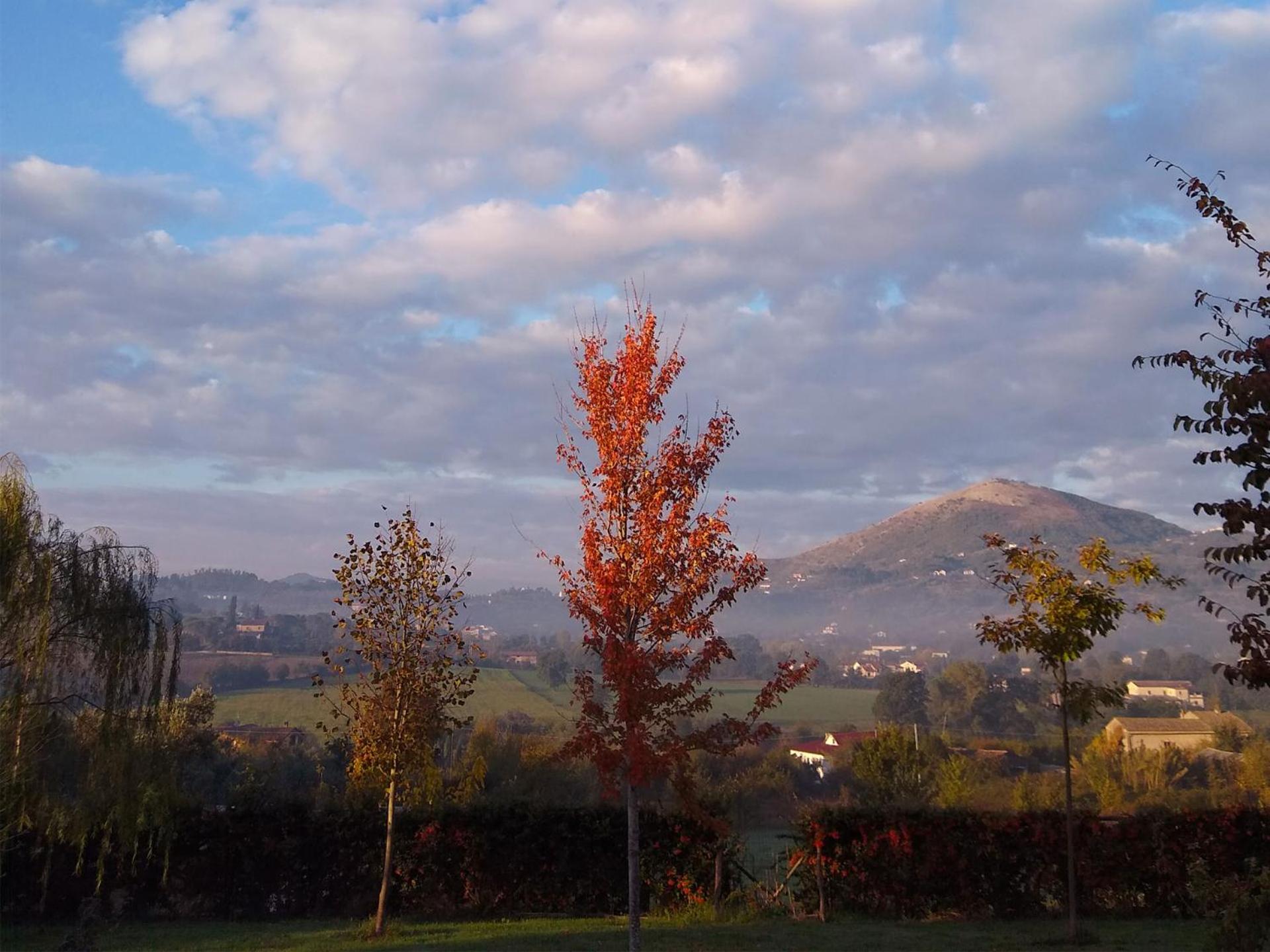 Le Piracante view 4