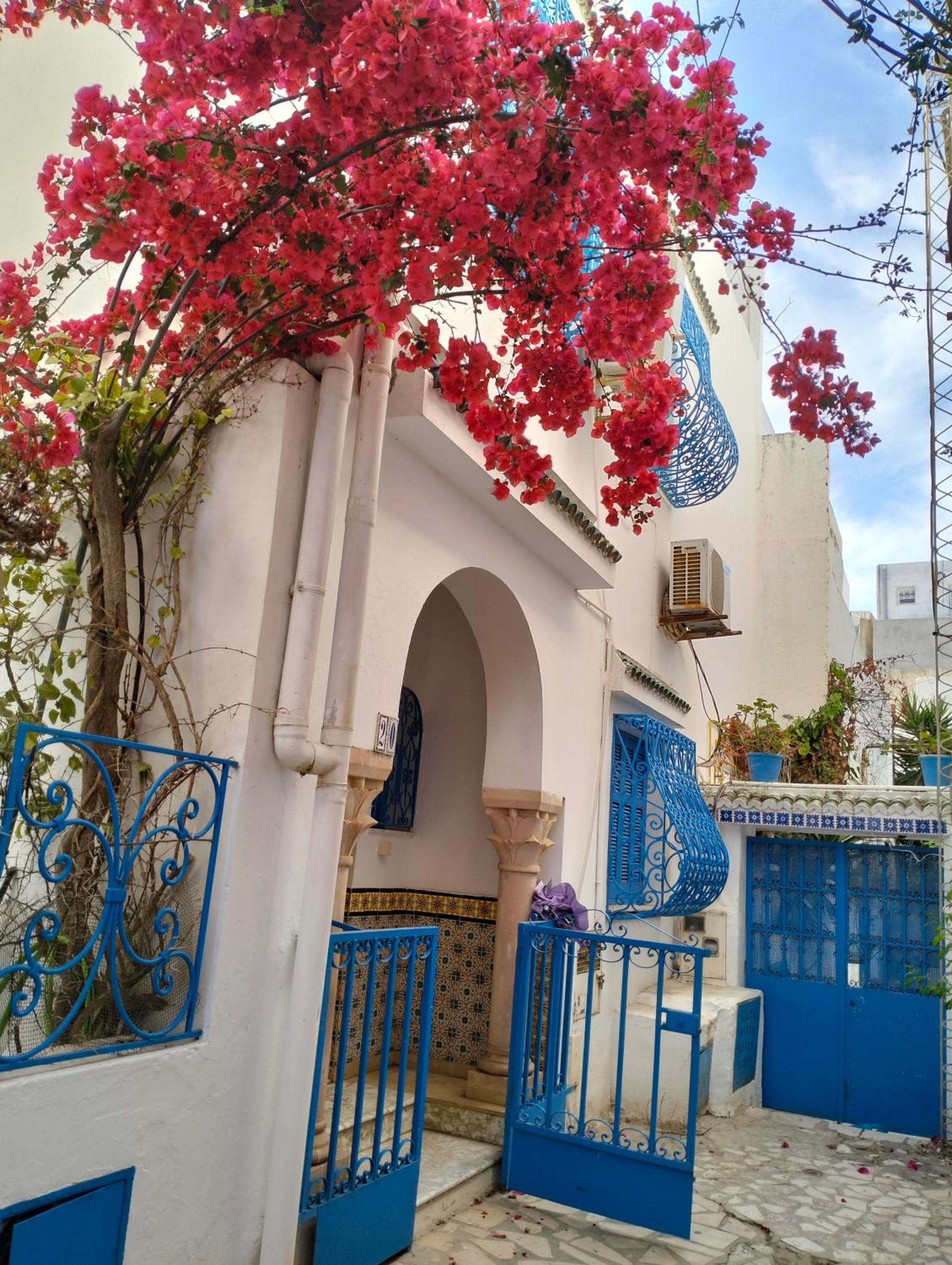 Coup de cœur à Sidi Bou Said view 3