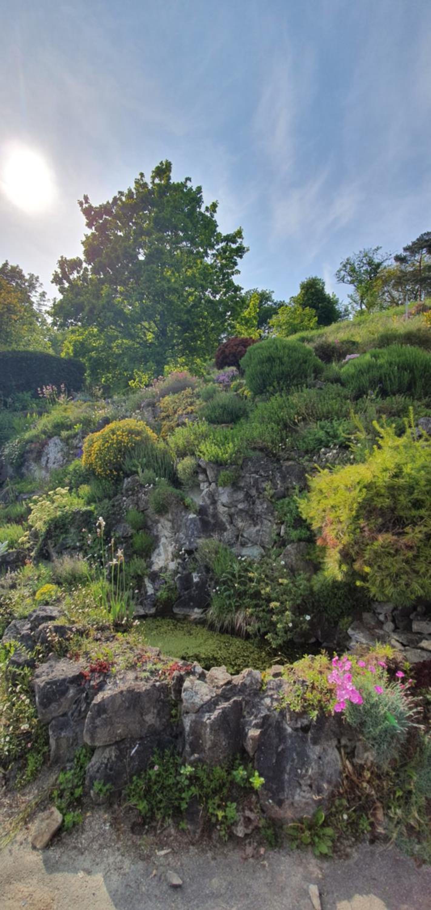 D'Hestia - Gîte avec vue imprenable sur Huy