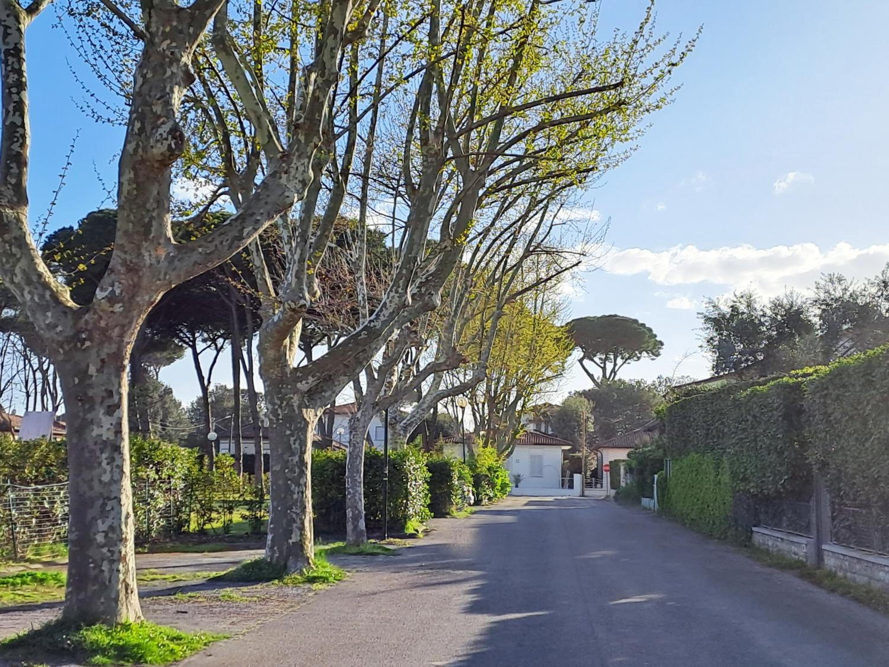 La casina di Marco view 3