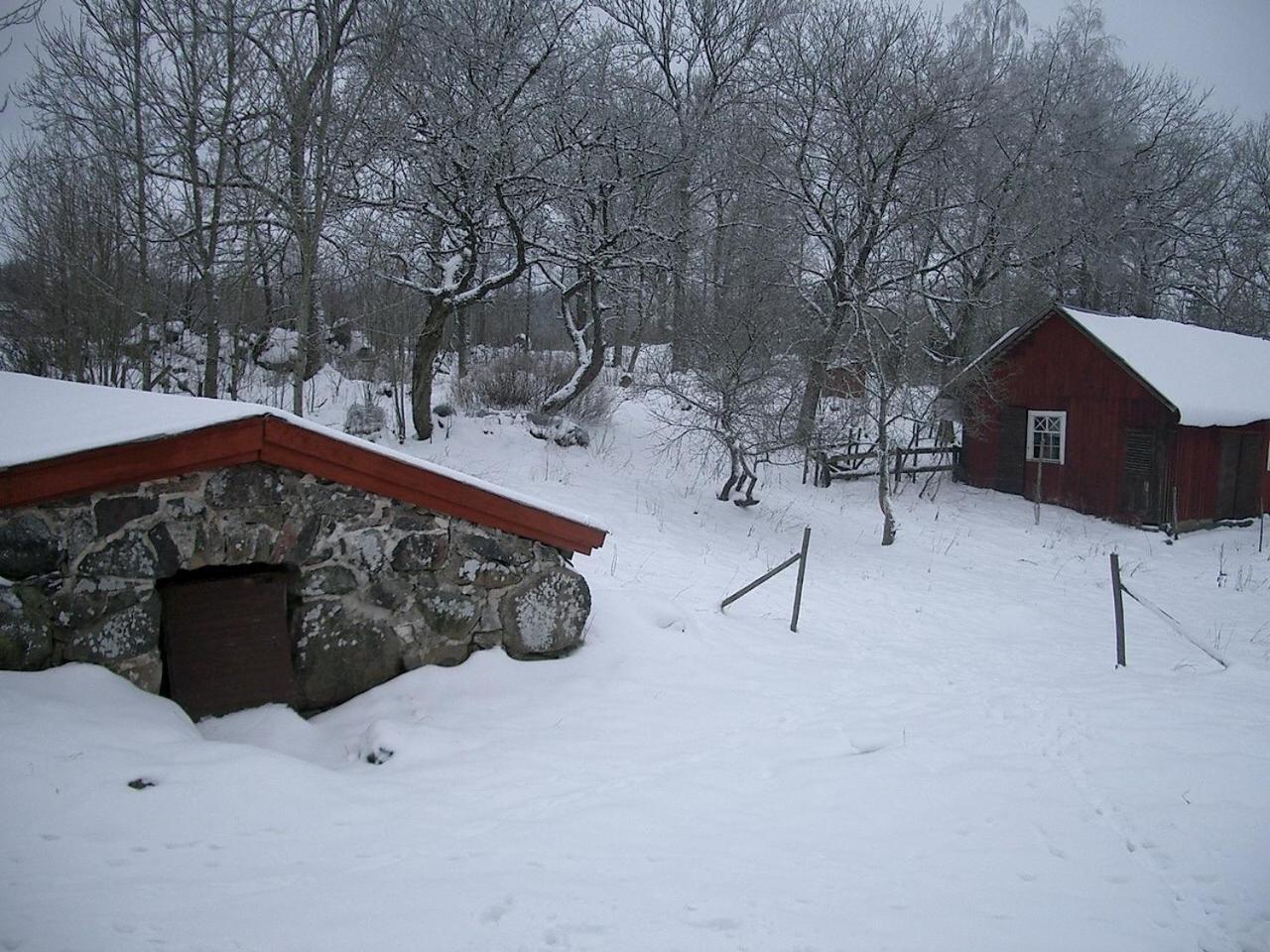 Photo 46