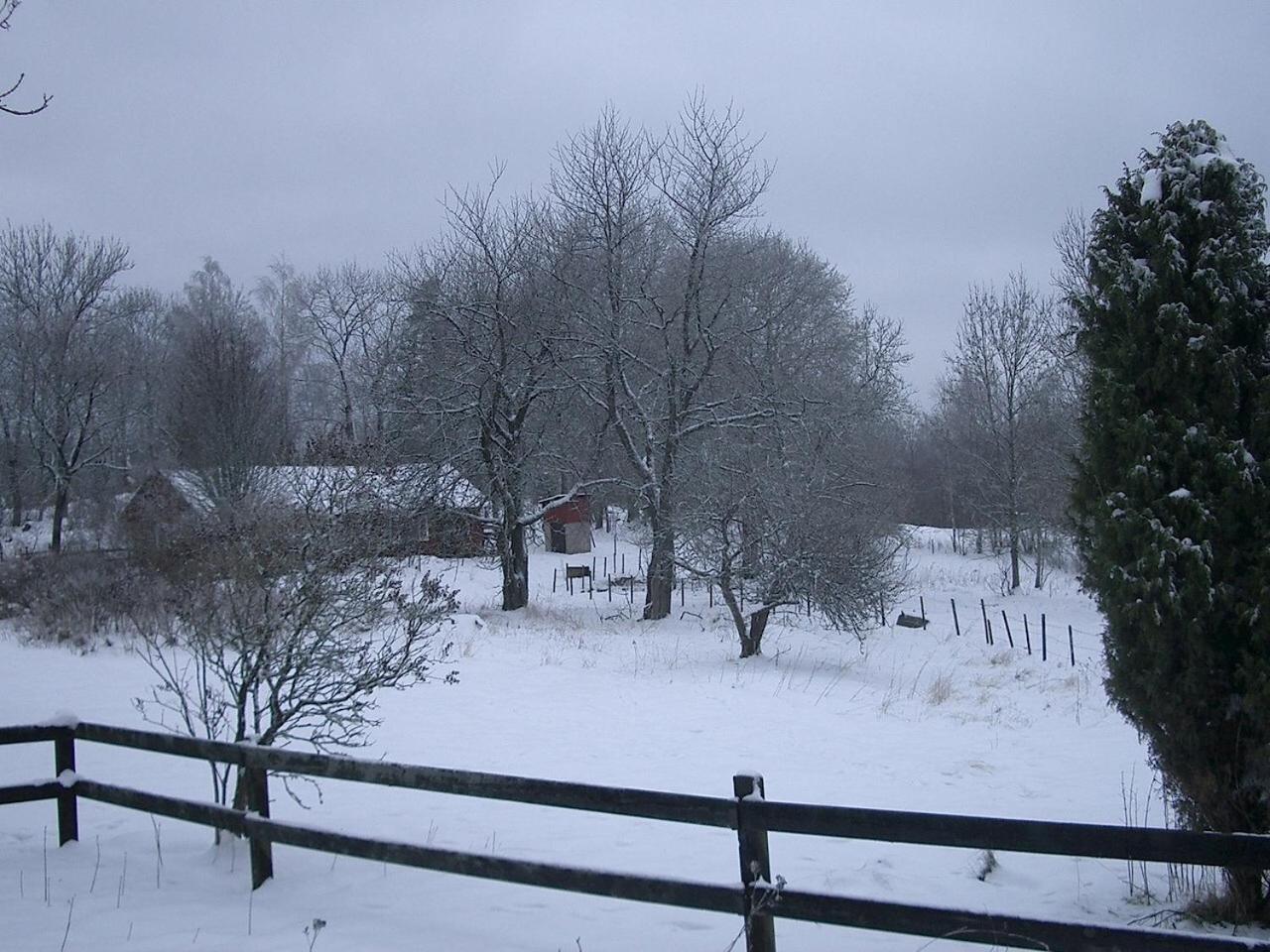 Photo 28