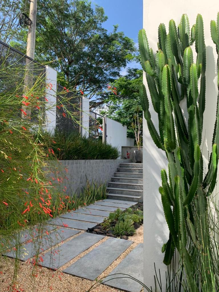 Linda Casa Moderna