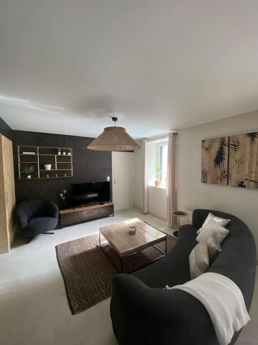 Maison 200m2- 9 chambres avec sdb - 16-18 personnes - séminaire-Proche Centre-Ville-Gare et Arena-terrasse
