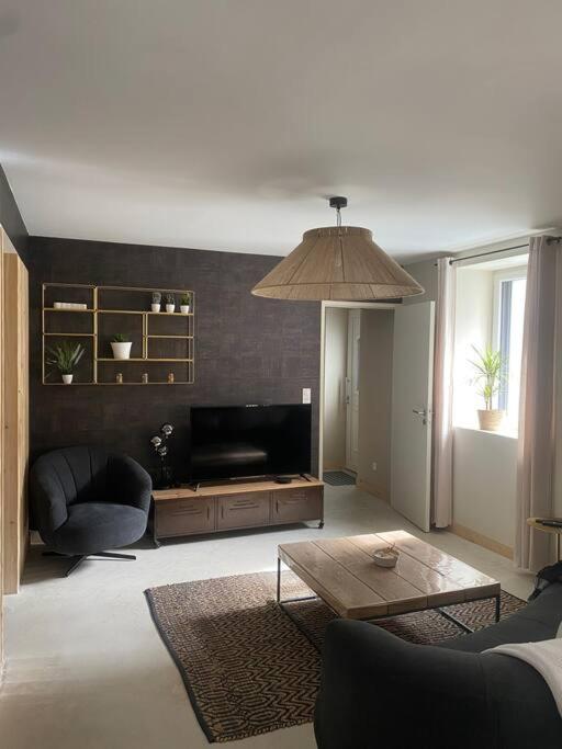 Maison 200m2- 9 chambres avec sdb - 16-18 personnes - séminaire-Proche Centre-Ville-Gare et Arena-terrasse