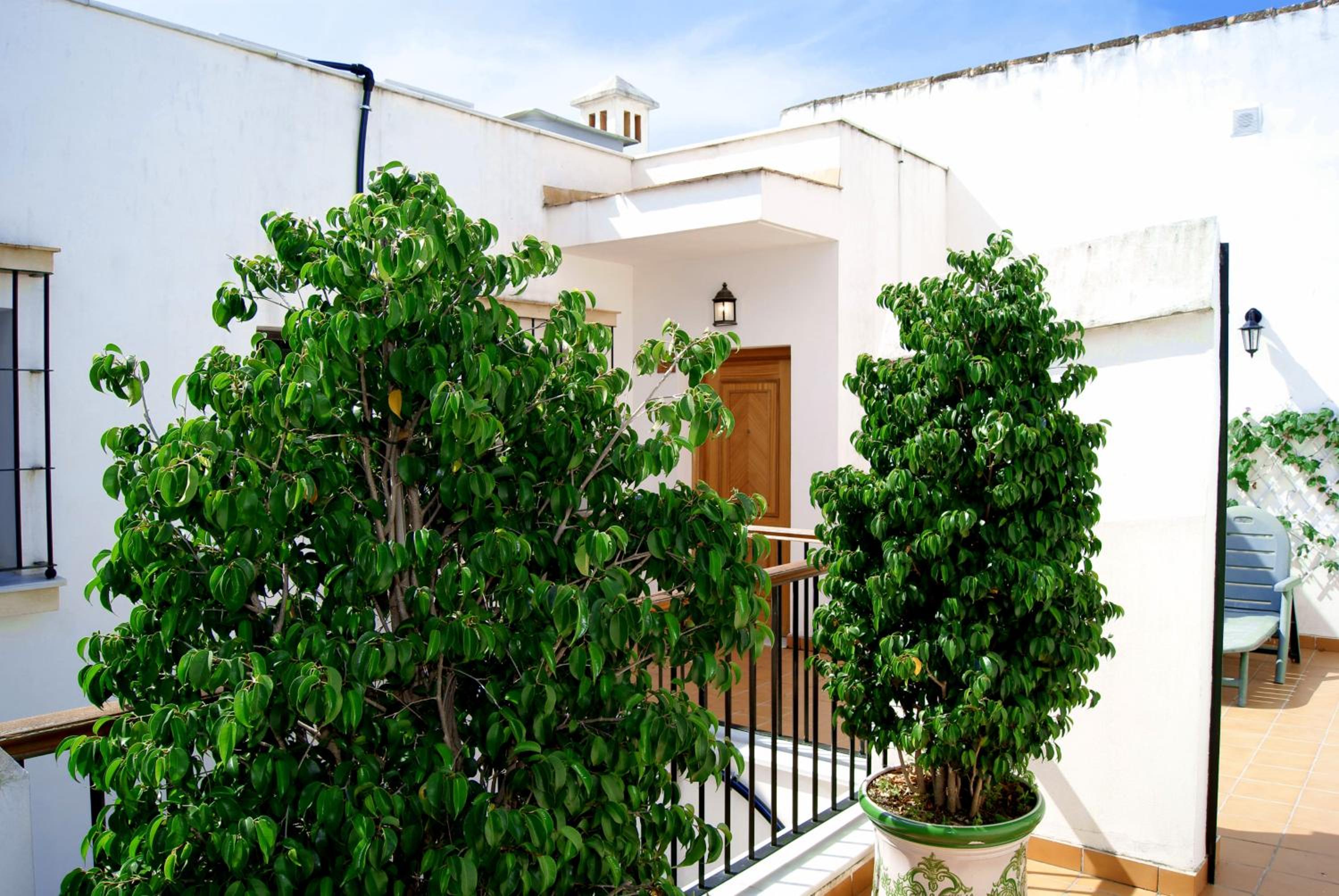 Casa Palacio Luna