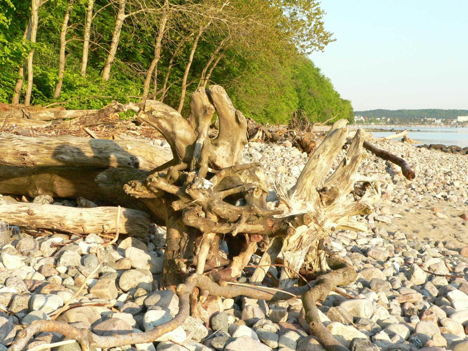 Ferienwohnungen im Ostseebad Binz