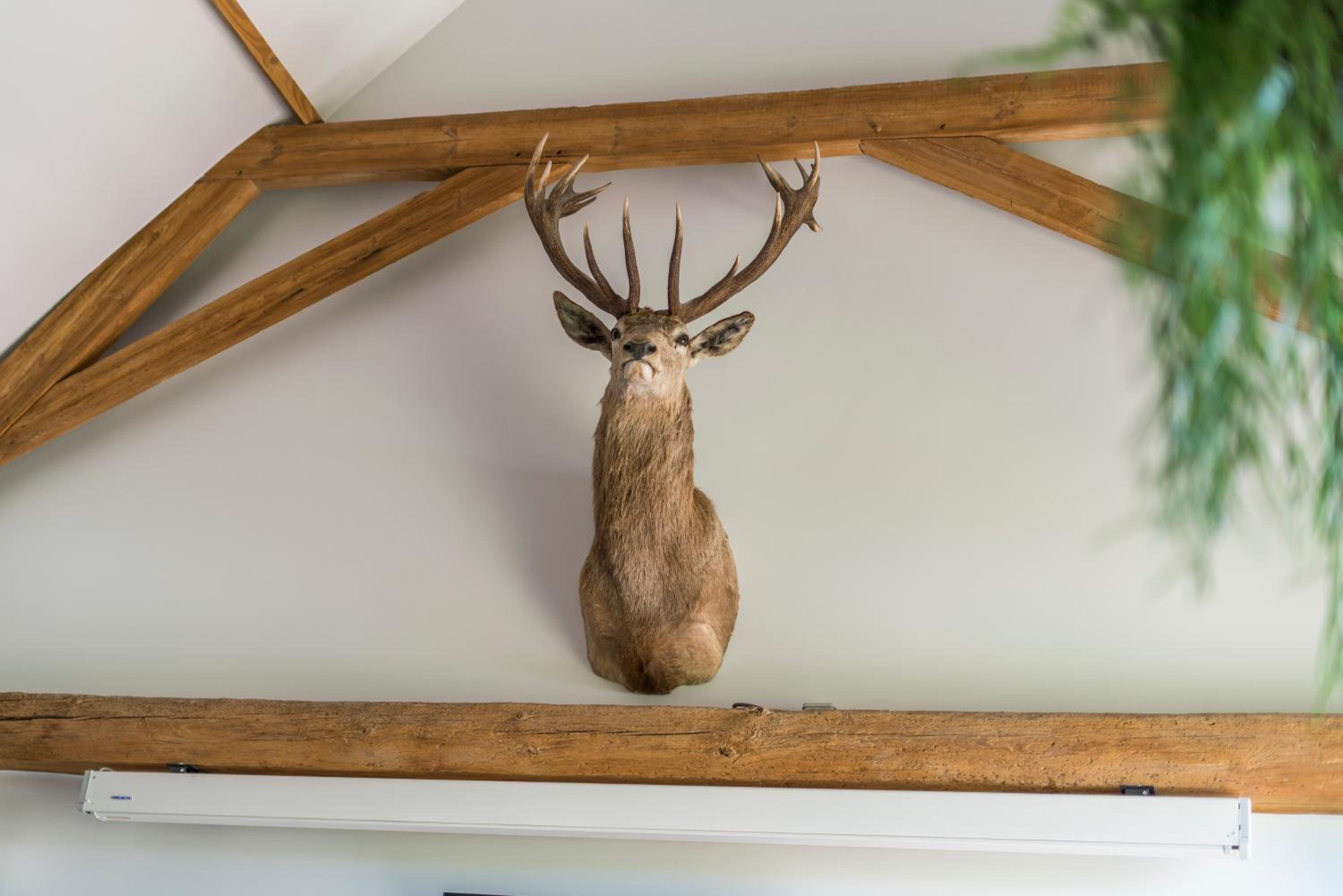 Hoeve De Zuidhoek