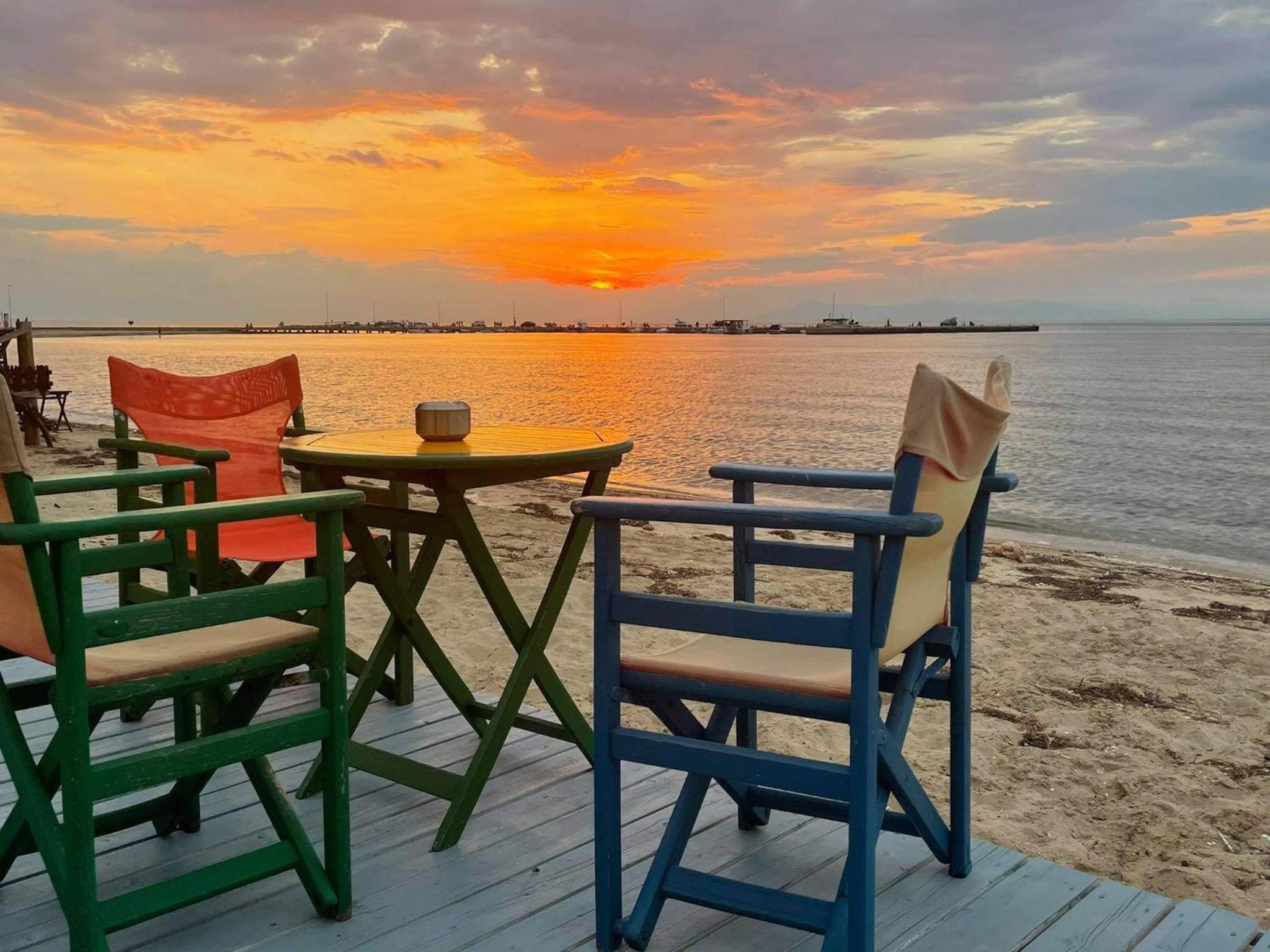 Photo 51
