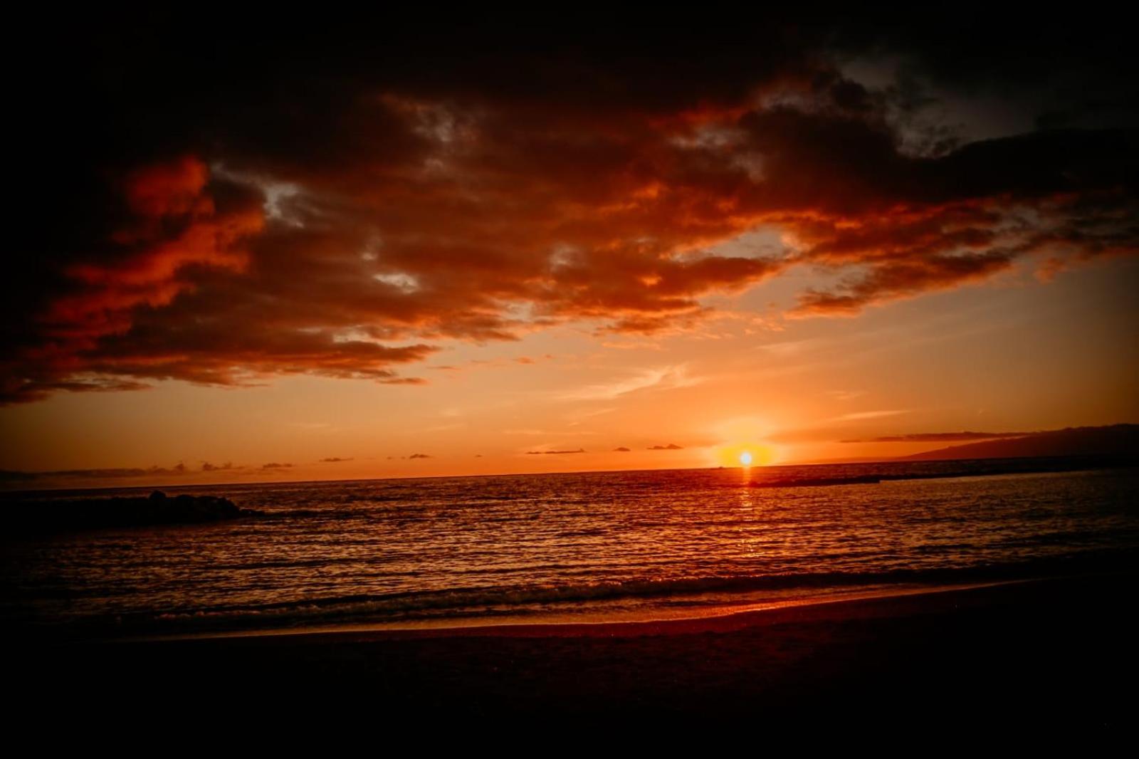 Paradise Tenerife