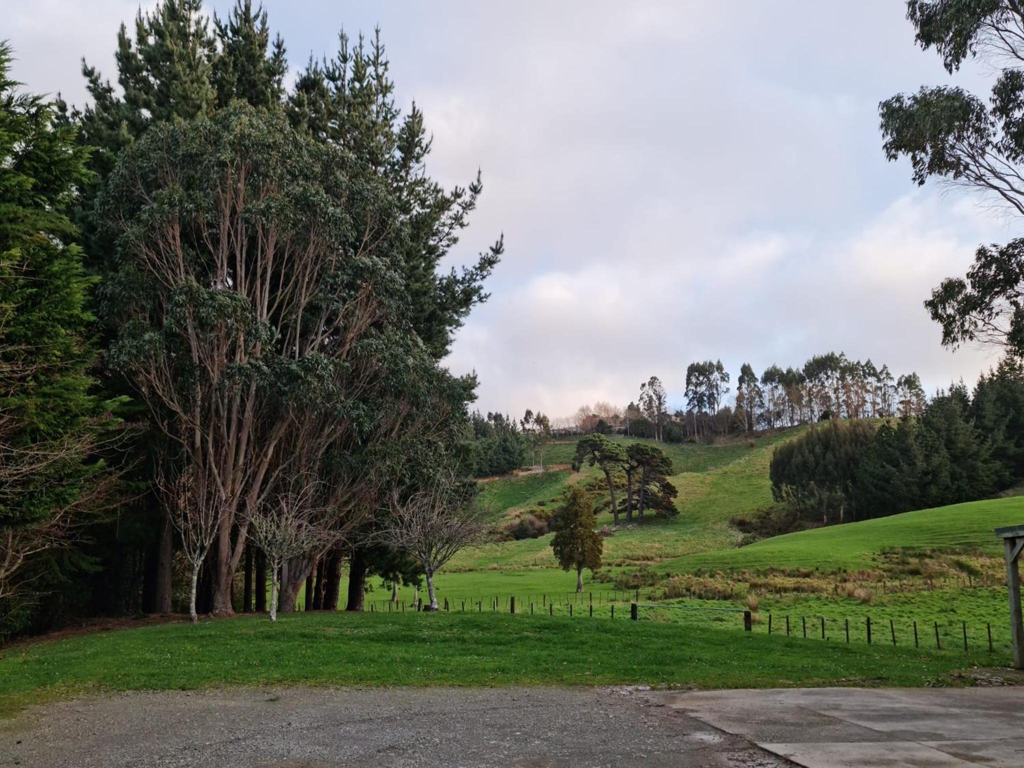 Beautiful Rural Oasis