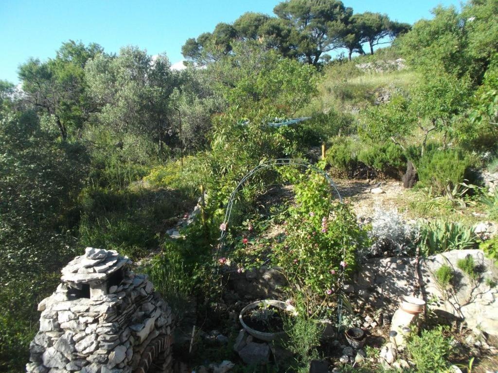 Photo 20
