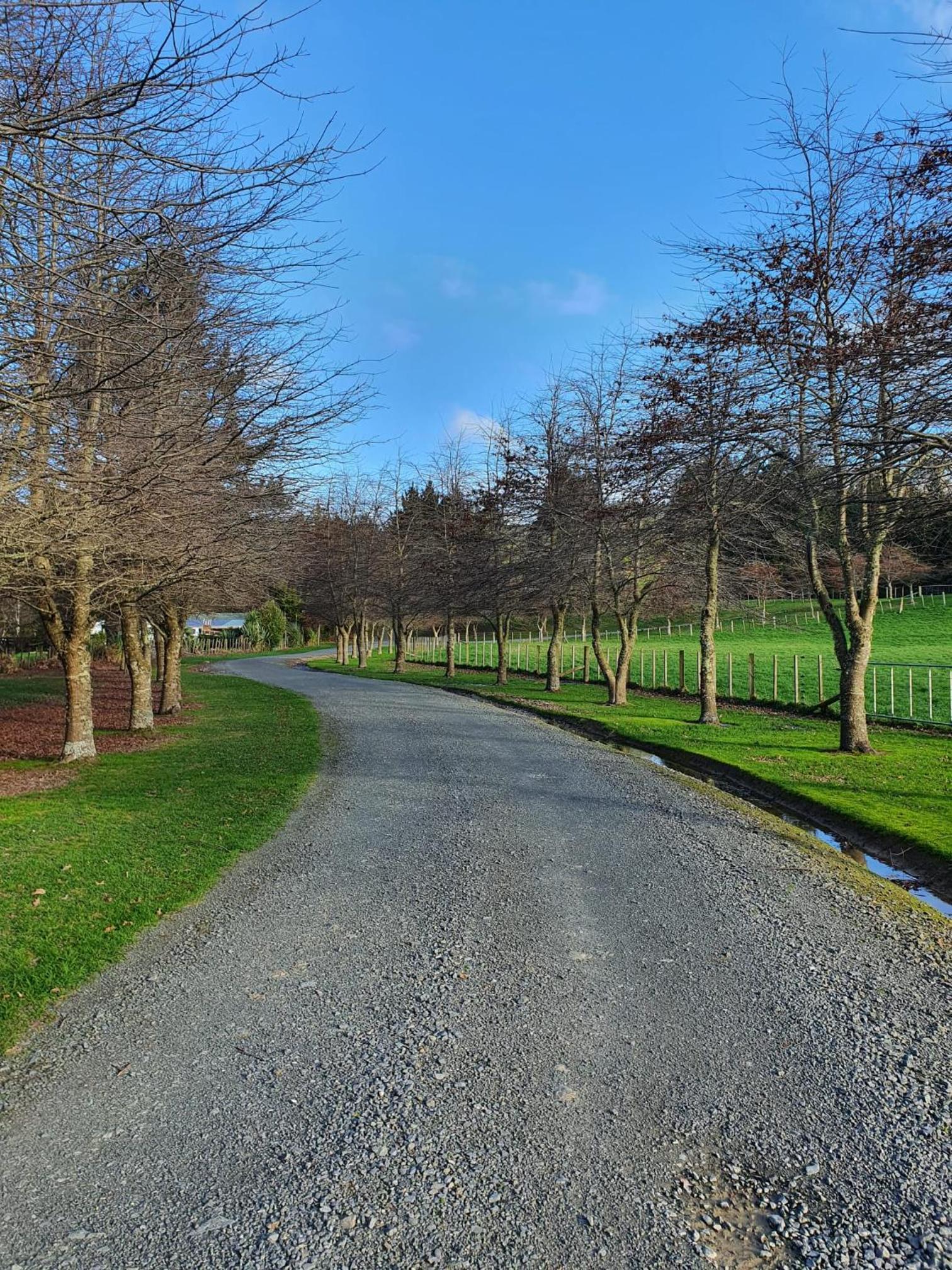 Beautiful Rural Oasis