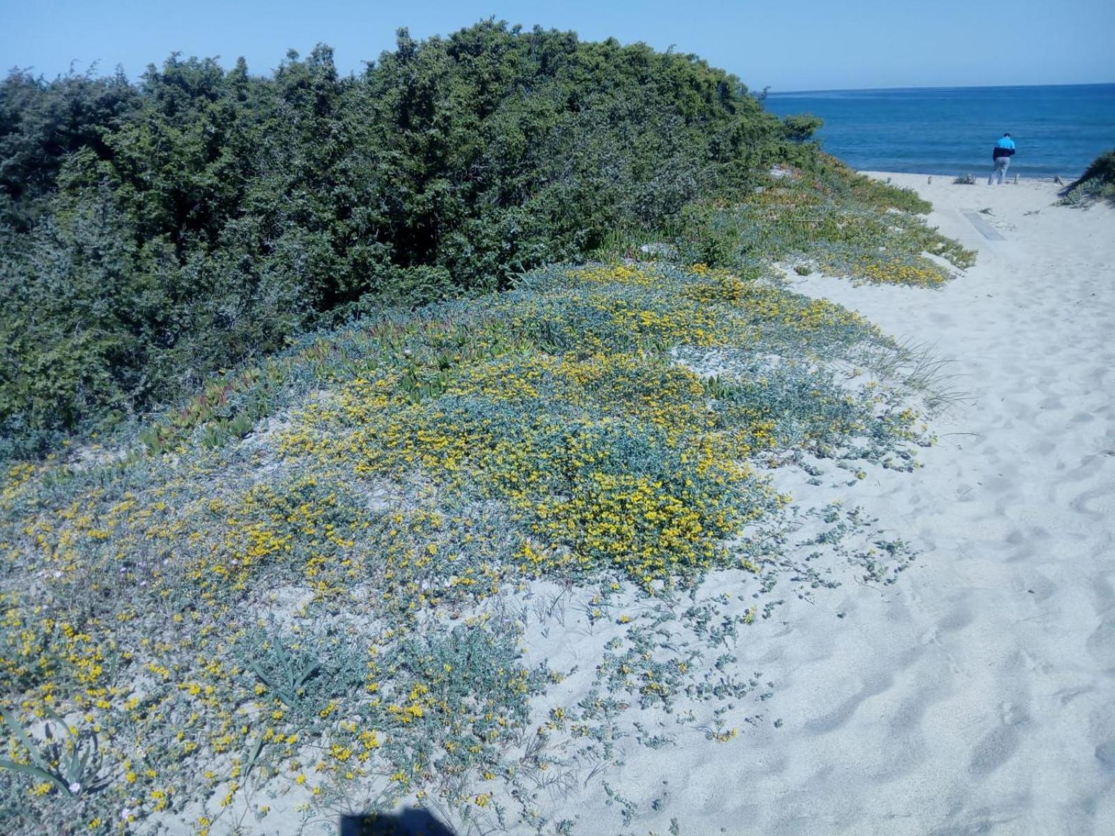 Casa Maris Stella photo 3