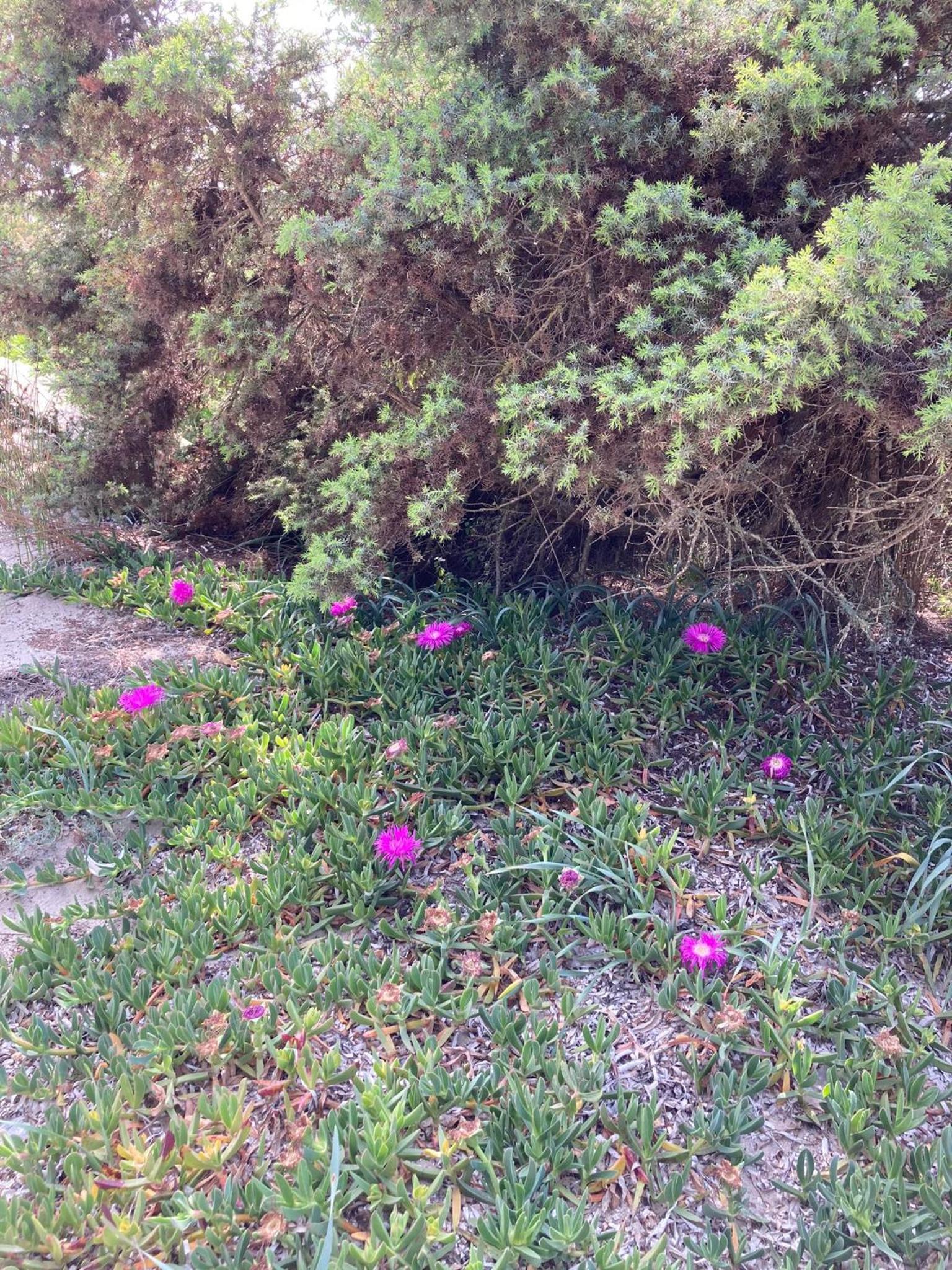 Casa Maris Stella photo 4