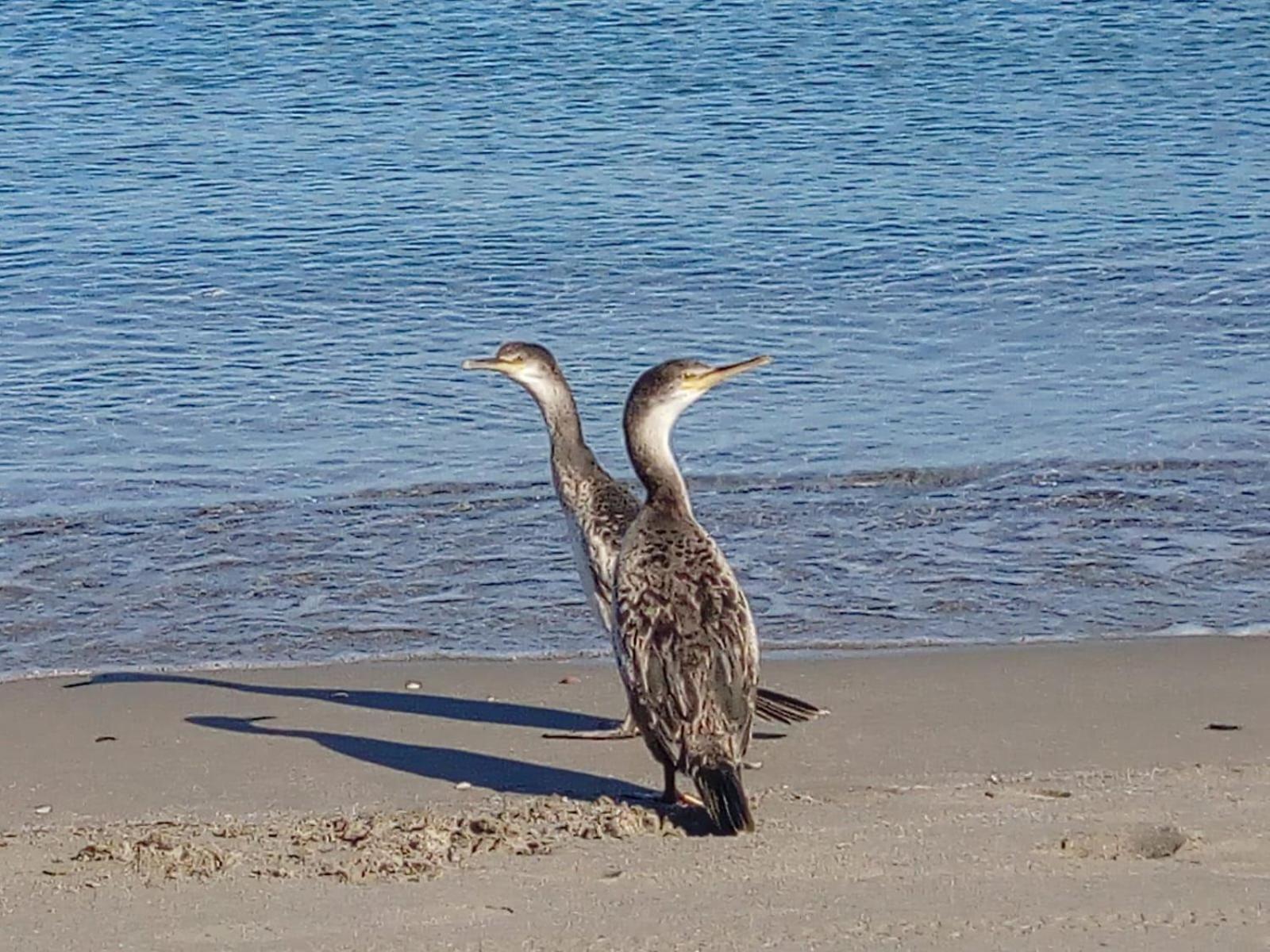 Casa Maris Stella photo 2