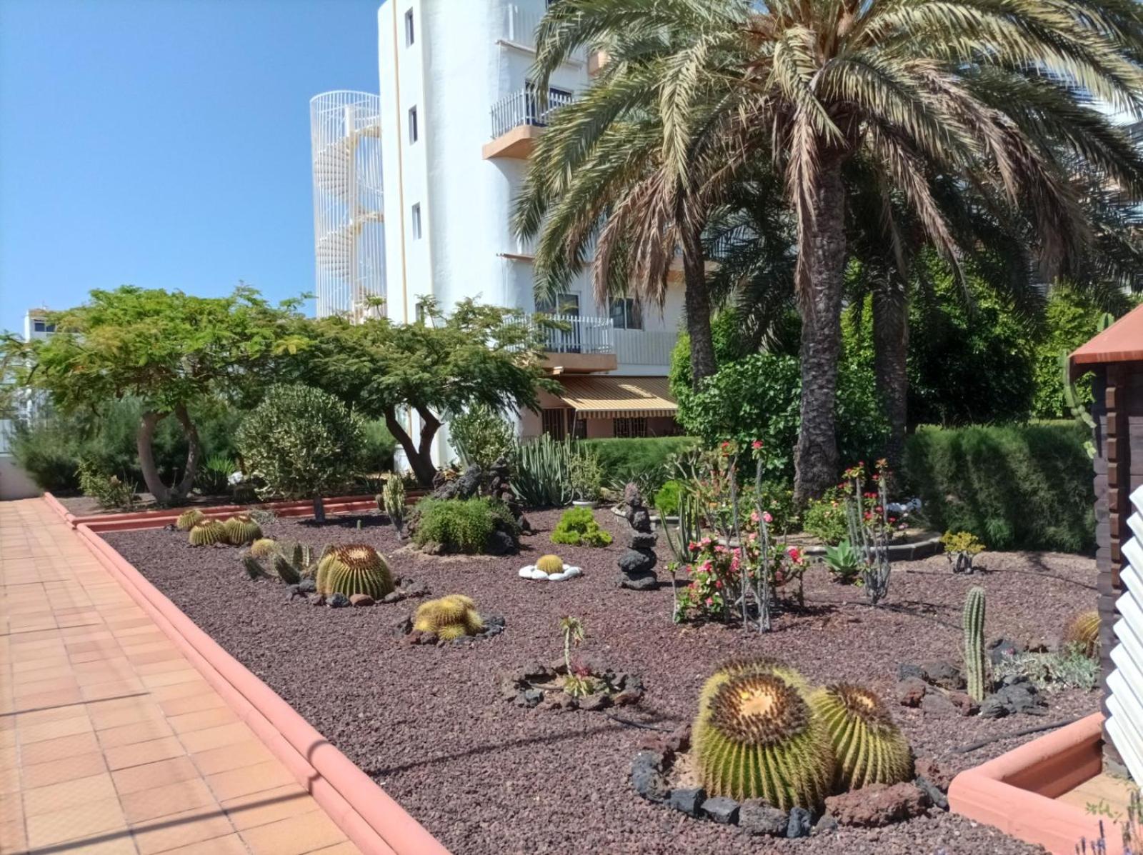 GuestReady - Tenesor 115 Playa Del Ingles