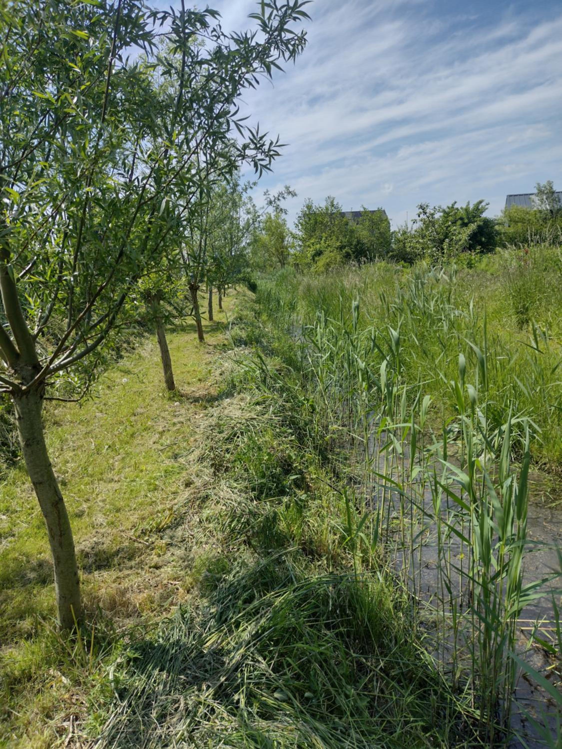 Tuinhuisje in het groen view 4