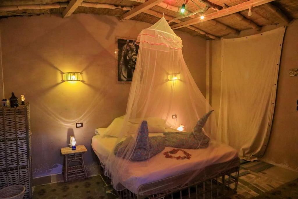 Bedouin Lodge Luxor
