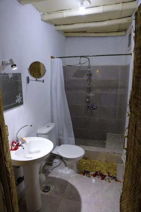 Bedouin Lodge Luxor