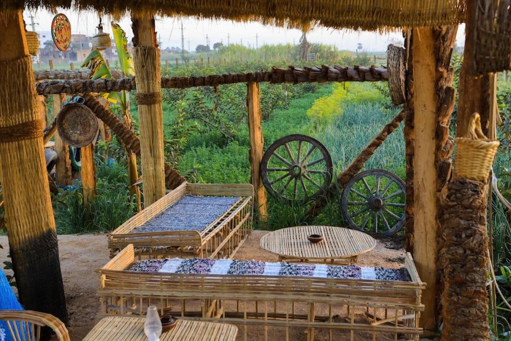 Bedouin Lodge Luxor