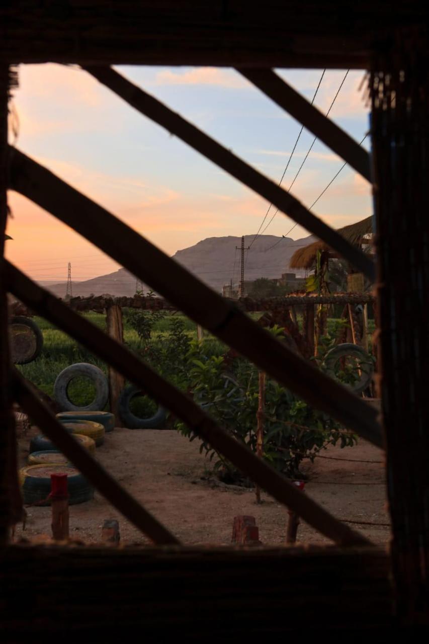 Bedouin Lodge Luxor